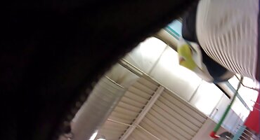 Hai trẻ đồng tính nữ có vui vẻ với phim xx loan strapon